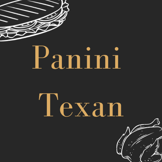Panini texan