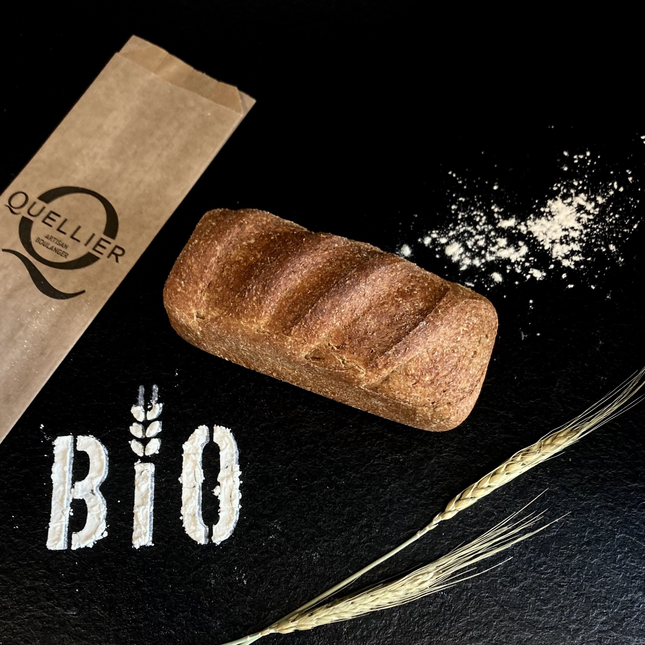 Complet Bio